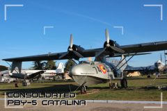 Consolidated_PBY5