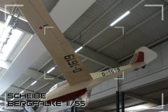 Scheibe_Bergfalke
