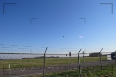 00036_1492716529