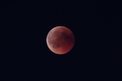 IMG_5863