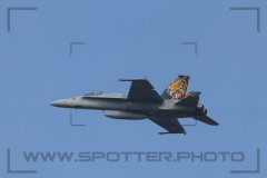 IMG_7937