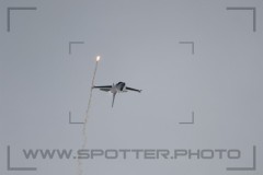 IMG_1987