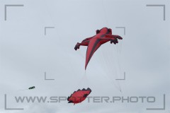 CIG_IMG023