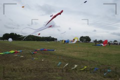 CIG_IMG025