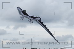 CIG_IMG035