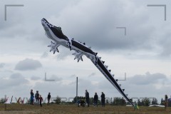 CIG_IMG038