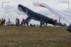 CIG_IMG040