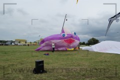 CIG_IMG050