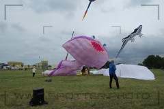 CIG_IMG051