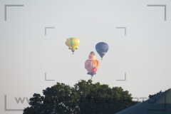 CIG_IMG003