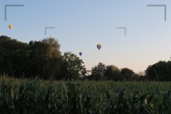 CIG_IMG011