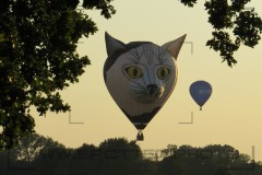 CIG_IMG015