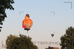 CIG_IMG021