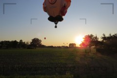 CIG_IMG031