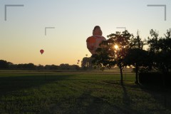 CIG_IMG035