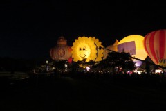 CIG_IMG055