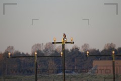 IMG_5281