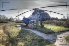 IMG_8691