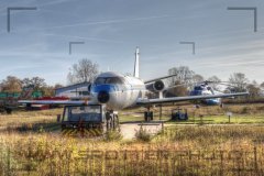 IMG_8726
