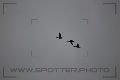 IMG_5905
