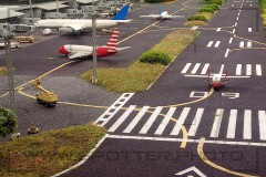 IMG_20200728_104415_3