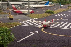 IMG_20200728_104430_5