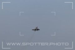 IMG_2350