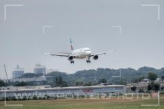 IMG_7982