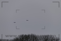 Frisian_Flag_2022_030